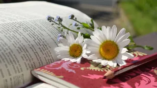 livre fleur